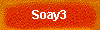 Soay3